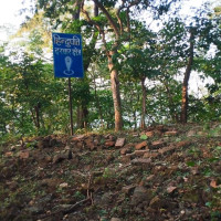 'Crawling Crows-Aankha'  wins big at 8th NIFF